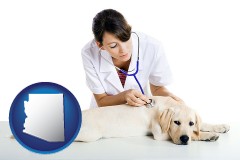 arizona map icon and a female veterinarian caring for a Labrador retriever