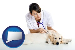 connecticut map icon and a female veterinarian caring for a Labrador retriever