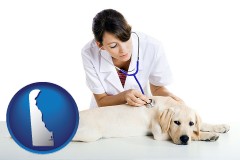 delaware map icon and a female veterinarian caring for a Labrador retriever