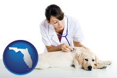 florida map icon and a female veterinarian caring for a Labrador retriever