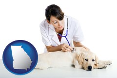 georgia map icon and a female veterinarian caring for a Labrador retriever