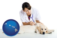 hawaii map icon and a female veterinarian caring for a Labrador retriever