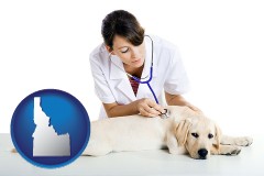 idaho map icon and a female veterinarian caring for a Labrador retriever