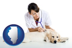 illinois map icon and a female veterinarian caring for a Labrador retriever