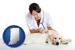 indiana map icon and a female veterinarian caring for a Labrador retriever