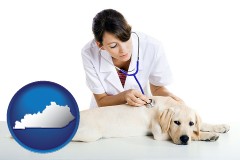 kentucky map icon and a female veterinarian caring for a Labrador retriever