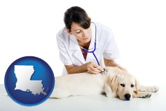 louisiana map icon and a female veterinarian caring for a Labrador retriever