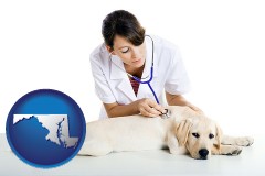 maryland map icon and a female veterinarian caring for a Labrador retriever