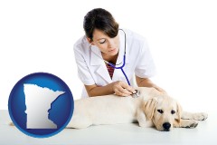 minnesota map icon and a female veterinarian caring for a Labrador retriever