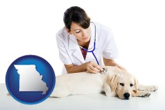 missouri map icon and a female veterinarian caring for a Labrador retriever