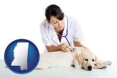 mississippi map icon and a female veterinarian caring for a Labrador retriever