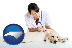 north-carolina map icon and a female veterinarian caring for a Labrador retriever