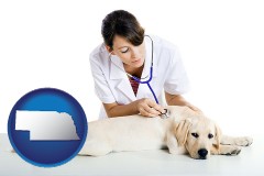 nebraska map icon and a female veterinarian caring for a Labrador retriever
