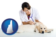 new-hampshire map icon and a female veterinarian caring for a Labrador retriever