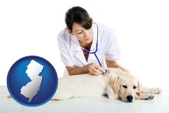 new-jersey map icon and a female veterinarian caring for a Labrador retriever