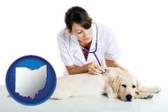 ohio map icon and a female veterinarian caring for a Labrador retriever