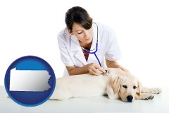 pennsylvania map icon and a female veterinarian caring for a Labrador retriever