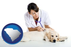 south-carolina map icon and a female veterinarian caring for a Labrador retriever