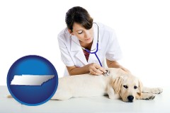 tennessee map icon and a female veterinarian caring for a Labrador retriever