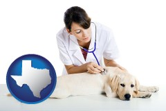 texas map icon and a female veterinarian caring for a Labrador retriever