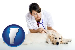 vermont map icon and a female veterinarian caring for a Labrador retriever