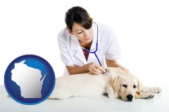 wisconsin map icon and a female veterinarian caring for a Labrador retriever