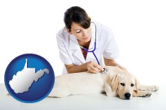 west-virginia map icon and a female veterinarian caring for a Labrador retriever