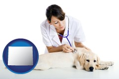 wyoming map icon and a female veterinarian caring for a Labrador retriever