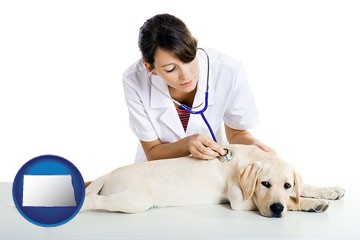 a female veterinarian caring for a Labrador retriever - with North Dakota icon