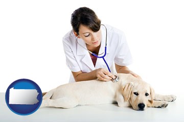 a female veterinarian caring for a Labrador retriever - with Pennsylvania icon
