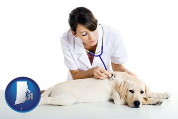 a female veterinarian caring for a Labrador retriever - with Rhode Island icon