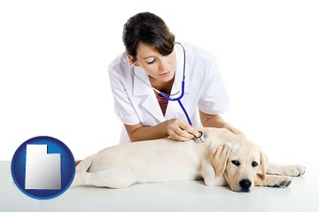 a female veterinarian caring for a Labrador retriever - with Utah icon