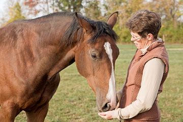 an animal trainer feeding a horse